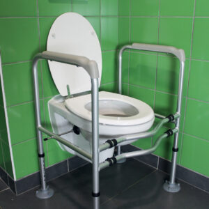 Accoudoirs de toilettes bermudes