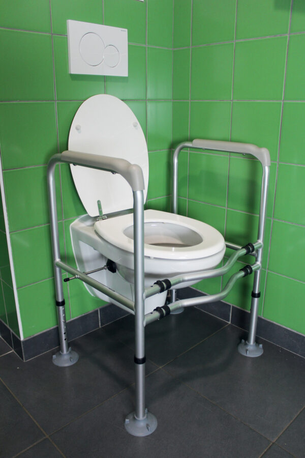 Accoudoirs de toilettes bermudes