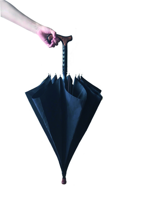 Canne parapluie – Image 4