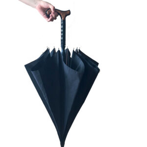 Canne parapluie