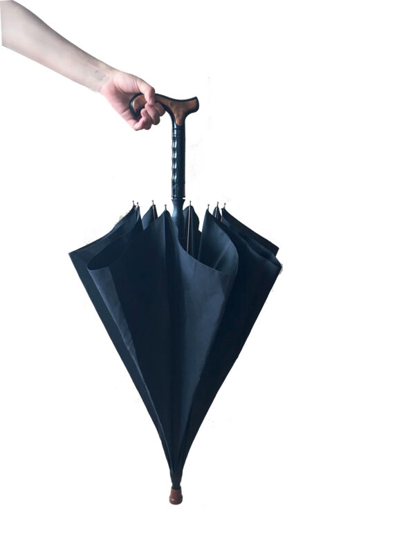 Canne parapluie – Image 3