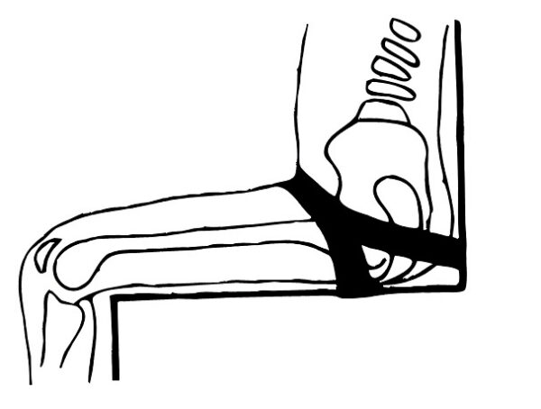 Ceinture abdominale physipro – Image 5